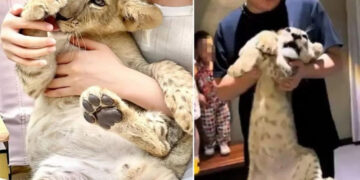 चीन के इस रेस्टोरेंट में जानवरों के साथ चाय पीते हैं लोग