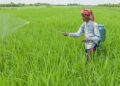 फसल बीमा करवाने की तारीख 14 अगस्त तक बढ़ी