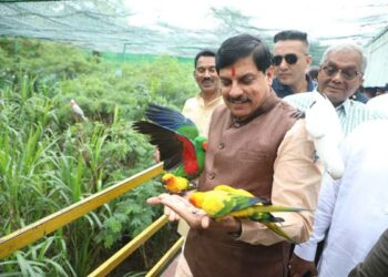 मुख्यमंत्री डॉ यादव इंदौर के प्राणी संग्रहालय पहुंचे, रंग-बिरंगे पक्षियों को किया दुलार
