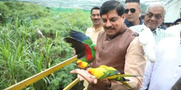 मुख्यमंत्री डॉ यादव इंदौर के प्राणी संग्रहालय पहुंचे, रंग-बिरंगे पक्षियों को किया दुलार