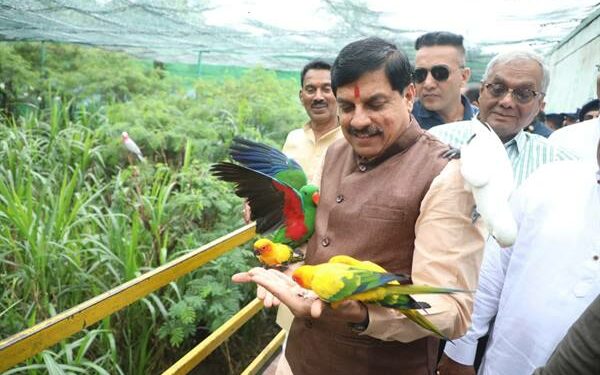 मुख्यमंत्री डॉ यादव इंदौर के प्राणी संग्रहालय पहुंचे, रंग-बिरंगे पक्षियों को किया दुलार