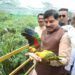मुख्यमंत्री डॉ यादव इंदौर के प्राणी संग्रहालय पहुंचे, रंग-बिरंगे पक्षियों को किया दुलार