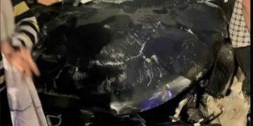घर के बाहर बैठे 7 लोगों को अंधी रफ्तार कार ने रौंदा, 5 की मौत, 2 गंभीर